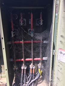 Protecting Electrical Equipment from Unwanted Critters